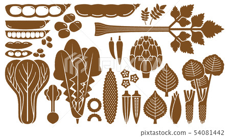 Vegetables _ variations 54081442