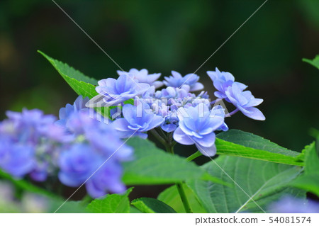 It gets wet when it rains 54081574