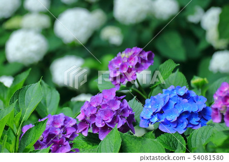 下雨時它會變濕 54081580