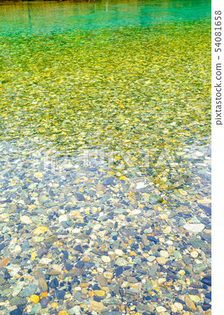 Clear stream of Kamogawa [Nagano Prefecture Kamikochi] 54081658