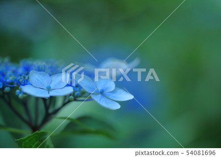 下雨時它會變濕 54081696