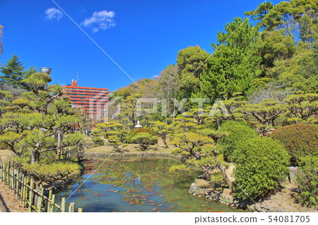[Matsuyama City, Ehime Prefecture] Dogo Park Yuzuki Castle Ruins 54081705