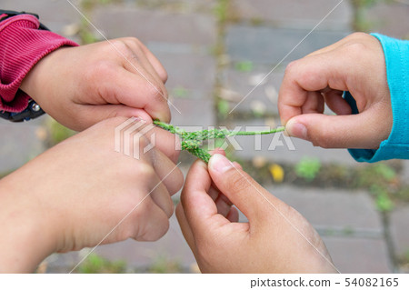 Child's hand doing boar sumo wrestling Child's hand doing boar sumo wrestling 54082165