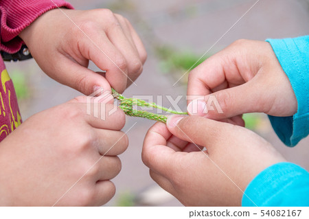 Child's hand doing boar sumo wrestling 54082167
