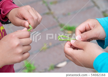 Oboko相撲摔跤 54082168