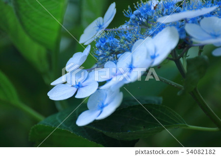 It gets wet when it rains 54082182