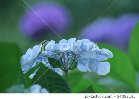 It gets wet when it rains 54082183