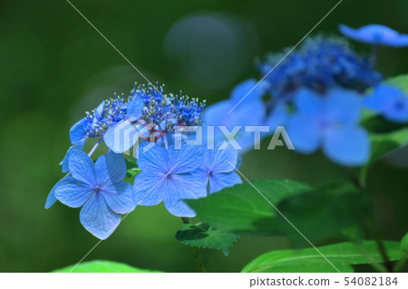 It gets wet when it rains 54082184