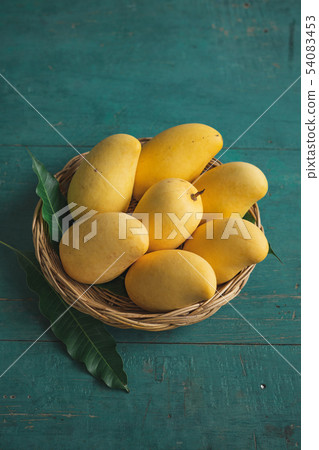 Yellow mango In the Yellow manbasket on green wood Yellow mango In the Yellow manbasket on green wood 54083453