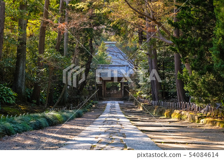 鎌倉首富寺方法和Nakamon 54084614