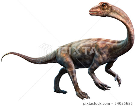 Anchisaurus from the Jurassic era 3D illustration 54085685