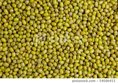 Mung bean or Green bean background 54086453