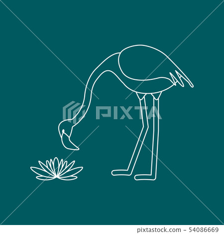 Exotic tropical bird flamingo, water lilies flower 54086669