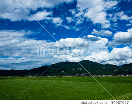 新鮮的綠山 新鮮的綠山 54087667