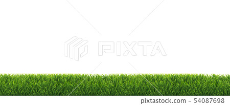 Green Grass Border Isolated White Background - Stock Illustration ...