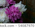 Bouquet of Peony 54087970