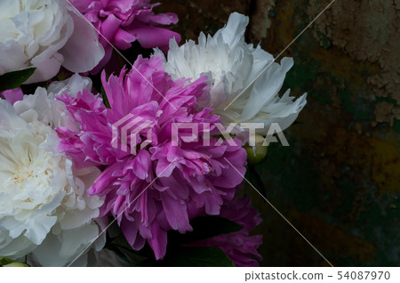 Bouquet of Peony Bouquet of Peony 54087970