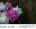 Bouquet of Peony 54087971