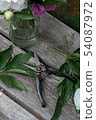 Pruning shears on wooden background 54087972