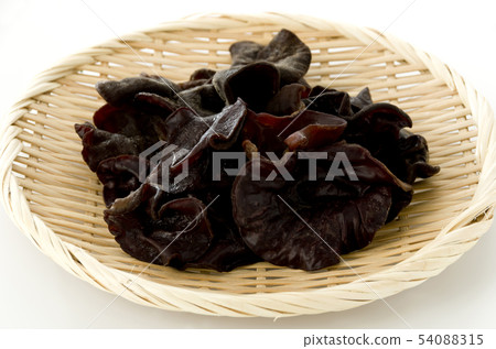 活潑的石斑魚 54088315