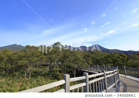 Elevated tree path of Shiretoko Five Lakes in autumn Elevated tree path of Shiretoko Five Lakes in autumn 54088661