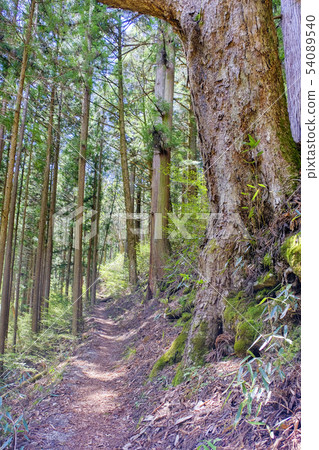 Dongshan Road Dongshan Road 54089540