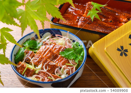 重量和重量 54089908