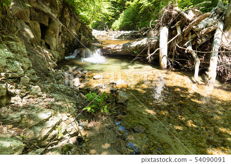 Clear cool mountain stream and fly rod of beech forest flow Clear cool mountain stream and fly rod of beech forest flow 54090091