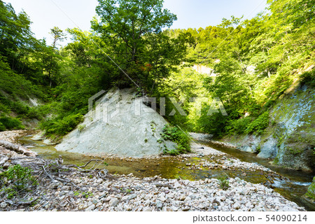 Transparent cool mountain stream of beech forest flow Transparent cool mountain stream of beech forest flow 54090214
