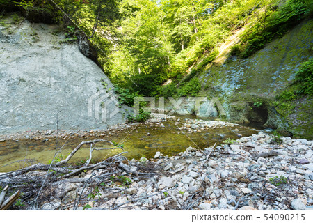 Transparent cool mountain stream of beech forest flow Transparent cool mountain stream of beech forest flow 54090215