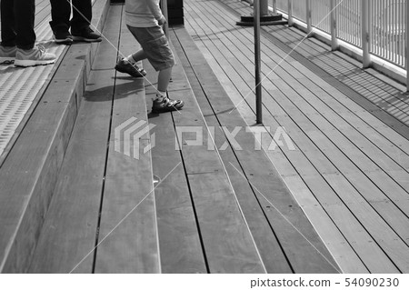Wood deck 54090230