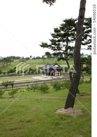 Chungjang,Nonsan,Chungnam Chungjang,Nonsan,Chungnam 54090519