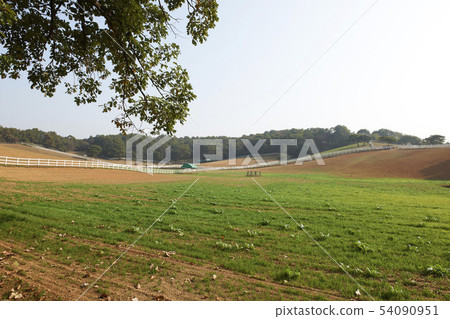原始的種馬牧場,Goyang-si,京畿道 原始的種馬牧場,Goyang-si,京畿道 54090951