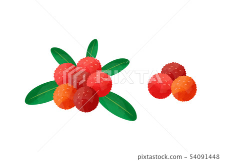 Yamamomo Yamamomo 54091448