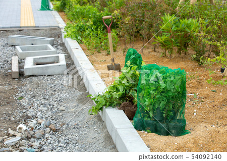 在建築工地的植樹 54092140