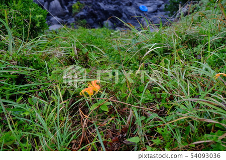 Nichirenzaki Geopark Part 13 Nichirenzaki Geopark Part 13 54093036