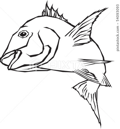 Fish image Fish image 54093093