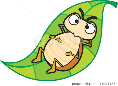 Insect image Insect image 54093127