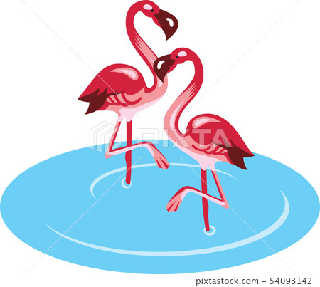 Flamingo image Flamingo image 54093142