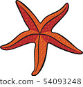 Starfish image 54093248