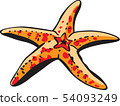 Starfish image 54093249