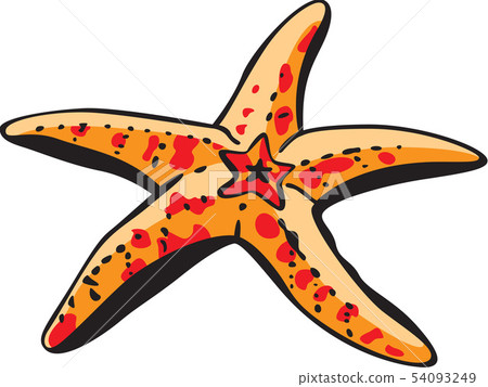 Starfish image Starfish image 54093249