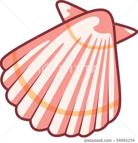 Seashell image Seashell image 54093254