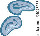 Ear image 54093268