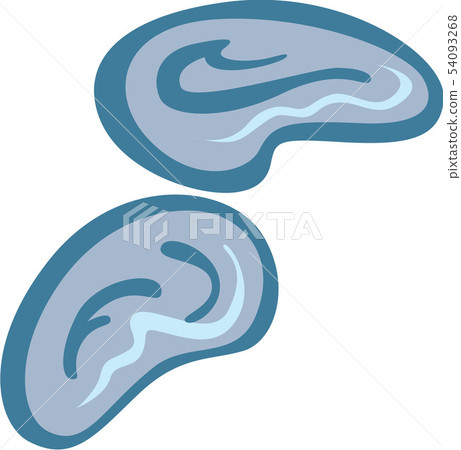 Ear image Ear image 54093268