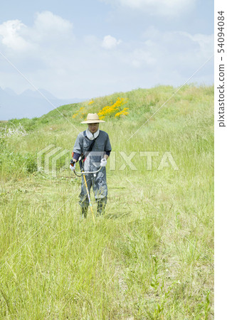 Weeding image, weeding image Weeding image, weeding image 54094084