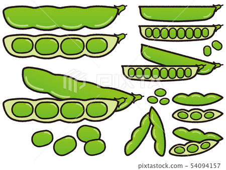 蔬菜變異_豆類 蔬菜變異_豆類 54094157