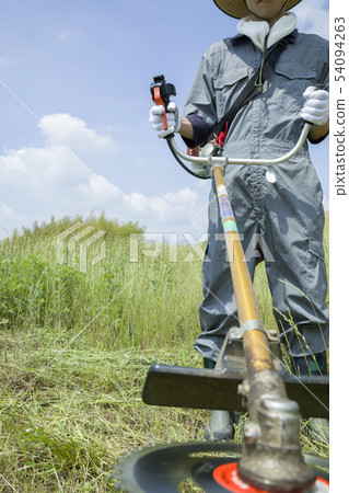 Weeding image, weeding image Weeding image, weeding image 54094263