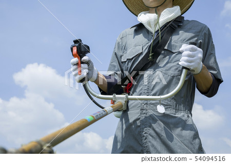 除草圖像，除草圖像 54094516