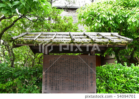 Suizenji Park in the rain 54094701